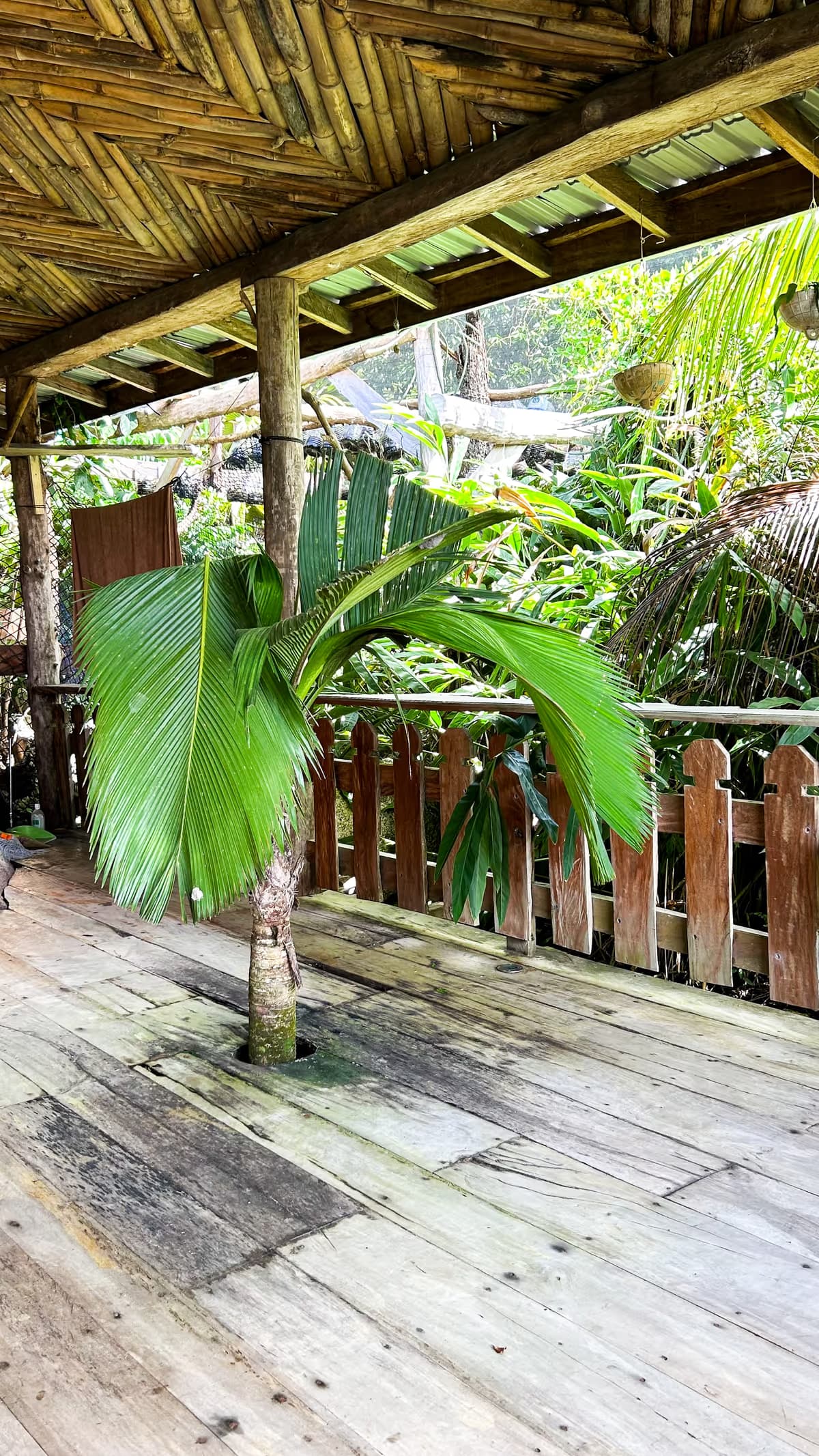 Veranda